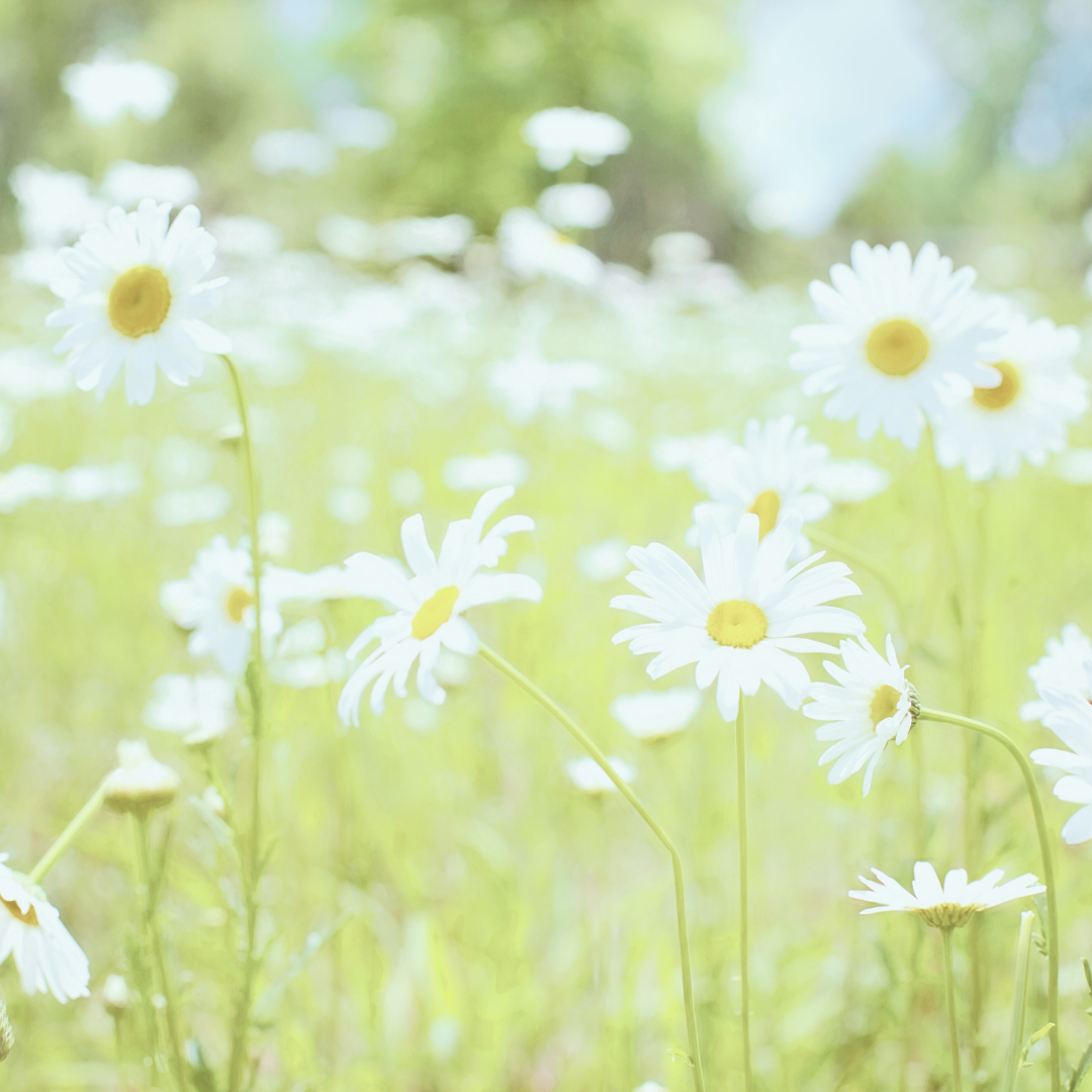 Korting op een Wellnessbeleving